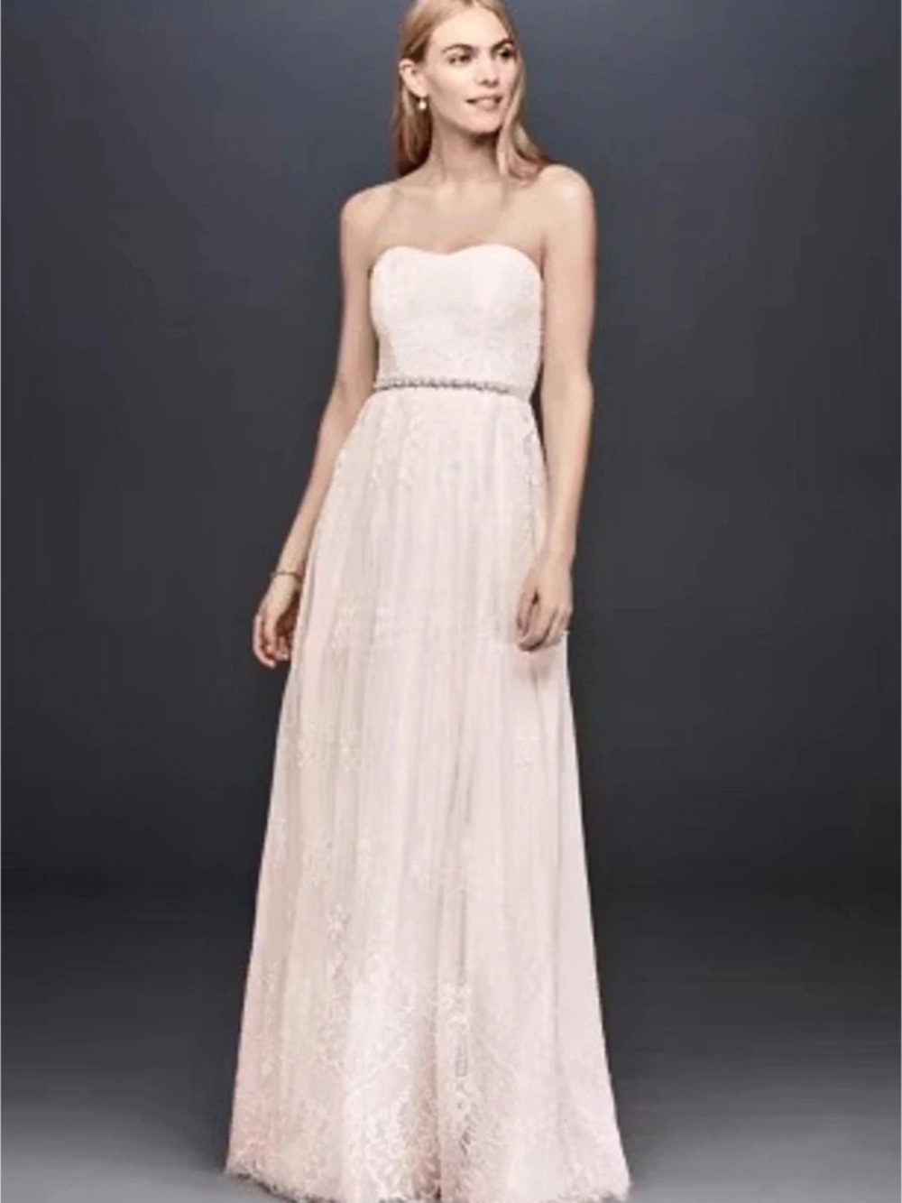 DB Studio Soft Floral Lace Sheath Gown with Blush Lining Size 10 STYLE# SDWG0622